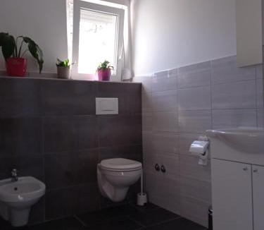 Barilovic Apartment | Seoski turizam Stari mlin na Korani room 2