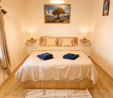 Draga Bascanska Apartment | Sky Terrace retreat