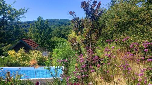 Samobor House | Slow Living Retreat near Zagreb - Fast WiFi - Workspace - Pet Friendly