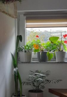 Donja Stubica House | Sobe za odmor Sandra