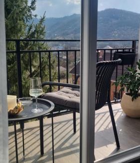Sighetu Marmatiei Apartment | Solovan Hill