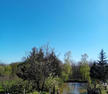 Nova Kapela House | Spa & Pool Holiday House - Šumska vila