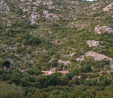 Tribanj House | Stone house BURA