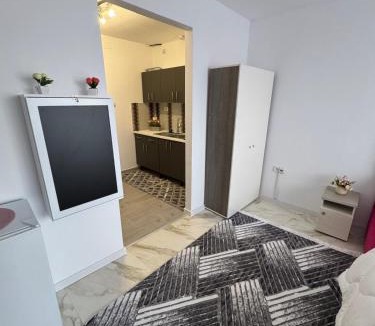 Falticeni Apartment | Studio 2