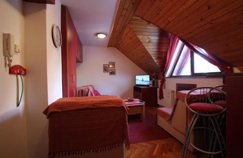 Zlatibor Apartment | Studio Apartman Aleksandar