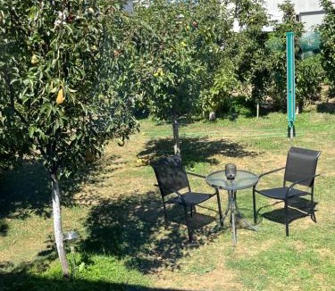 Velika Gorica Apartment | Studio apartman Anita