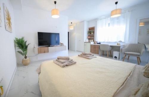 Vinkovci Apartment | Studio apartman Carera Deluxe