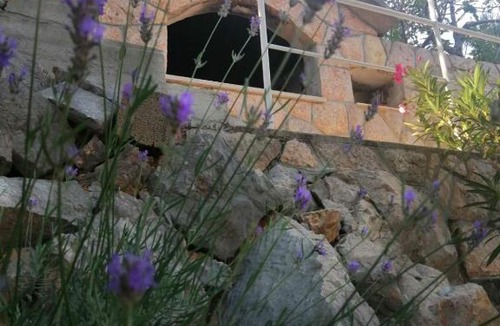 Starigrad Apartment | Studio Apartment Frane