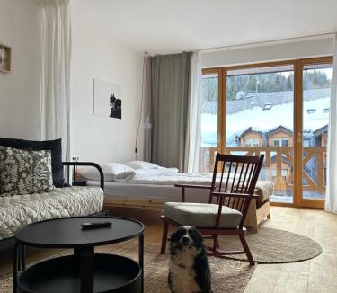 Jahorina Apartment | Studio apartment ASKA