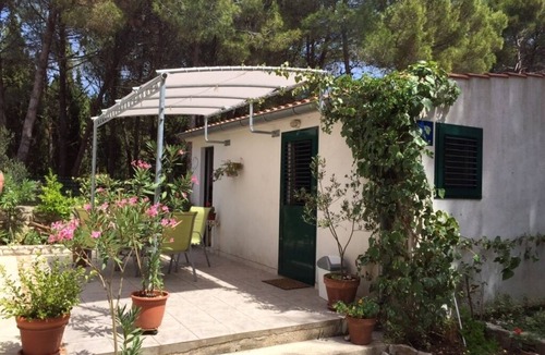 Veli Rat Apartment | Studio apartment in Veli Rat with Seaview, Balcony, Washing machine (882-1)