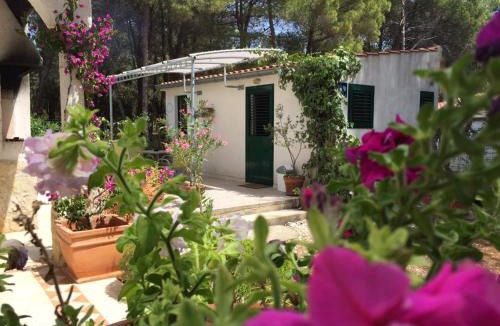Veli Rat Apartment | Studio apartment in Veli Rat with sea view, balcony, washing machine 882-1