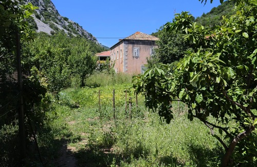Trstenik Apartment | Studio flat near beach Trstenik, Pelješac (AS-4567-b)