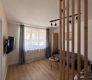 Popesti-Leordeni Apartment | Studio Palm