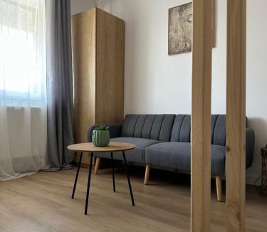 Popesti-Leordeni Apartment | Studio Palm