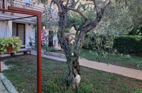 Novigrad Apartment | Studio Rocco