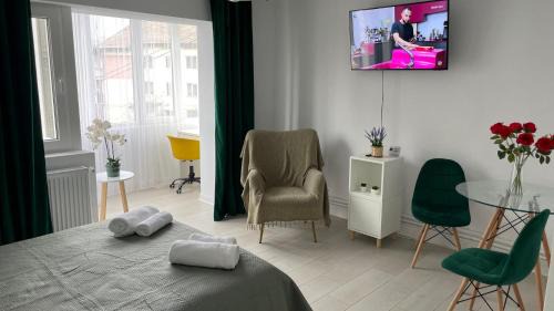 Zalau Apartment | Studio Rodica