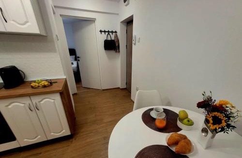 Hunedoara Apartment | Studio TAD HOUSE Hunedoara