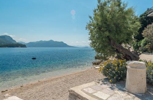 Trstenik Apartment | Studio Trstenik 4566b