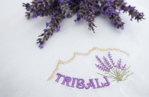 Tribalj House | Stunning villa for 6 guests with private pool, WIFI, A/C, TV, terrace, pets allowed and parking