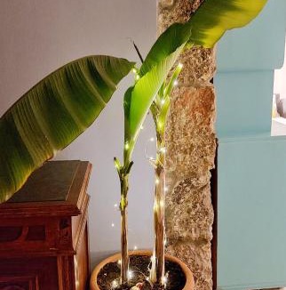 Rukavac Apartment | Sun&Sea House
