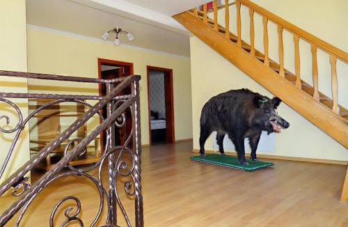 Adjud Hotel | Sunrise Hotel