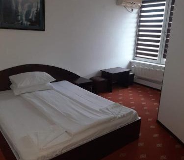 Orastie Hotel | Surianu Events Hotel-Restaurant