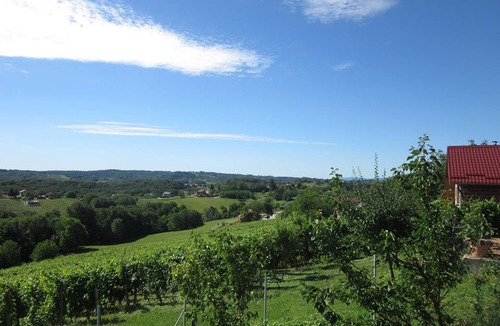 Grabrovnik House | The house with 3 bedrooms and a large terrace with a view of the wine hills