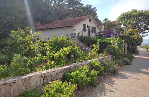 Zastrazisce Apartment | Three bedroom apartment with terrace and sea view Cove Vela Stiniva, Hvar (A-19951-a)