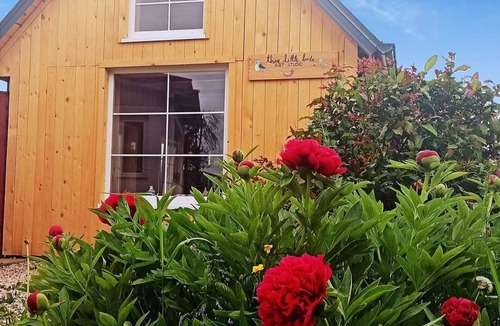 Plaski Apartment | Three Little Birds Suite provide country side accommodation and artist studio.