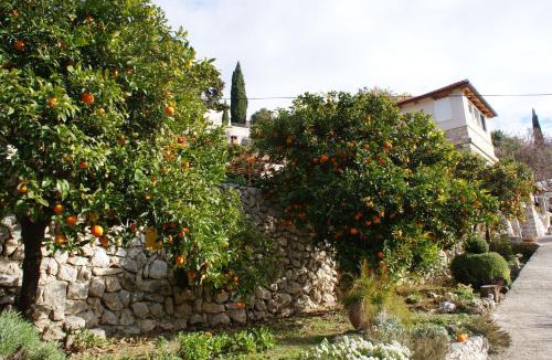 Trsteno Apartment | Three oranges