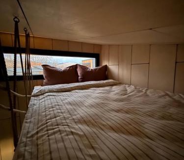 Sincraieni Ski Chalet | Tiny hill