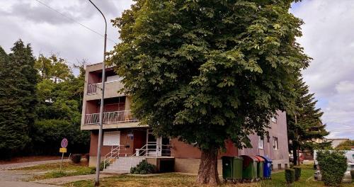 Krizevci Apartment | TP Apartman 1