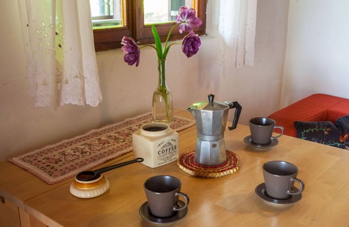Breznik Plesivicki Cottage | Traditional tiny cottage with a big yard surrounded by lush forests