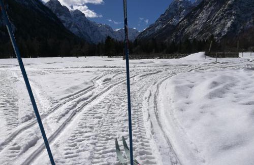 Mojstrana Apartment | Turisticna Kmetija Psnak