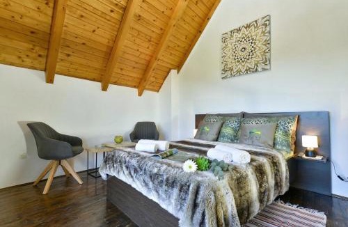 Sveti Ivan Zelina House | Twin Oasis Retreat with Pool & Spa - Happy Rentals