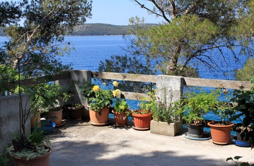 Island Dugi Otok Apartment | Two bedroom apartment near beach Lavdara, Dugi otok (A-433-b)