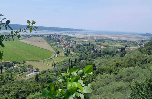 Secovlje Apartment | Two Bedroom House Olive Oil Homestead Milok