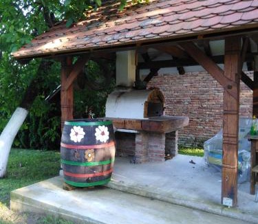 Podravske Sesvete Apartment | Umjetnička etno kuća Luka