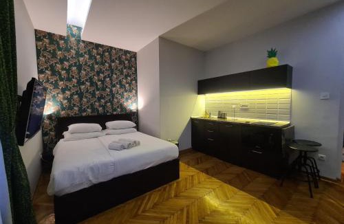 Stari Grad Apartment | Urban Studio in city center