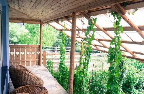 Viseu de Sus House | Vacation apartment on a farm