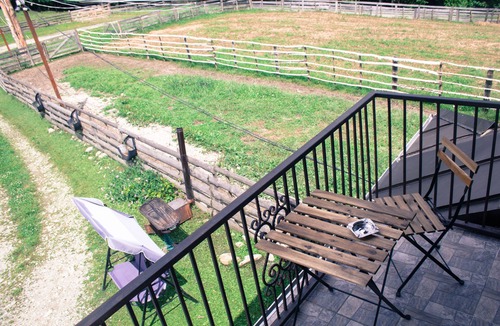Viseu de Sus House | Vacation apartment on a farm