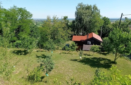 Koprivnicko-Krizevacka House | Vacation home with pool and sauna for families seeking peace and quiet. Pet friendly!