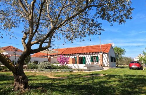 Skabrnja House | Vacation Home Zdravko