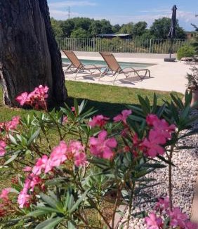 Radini Villa | VILA ŠKARLANIJA, Umag