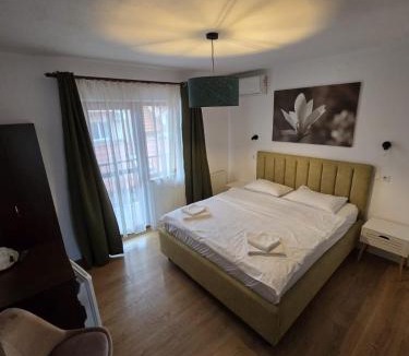 Tasnad House | Vila Alex