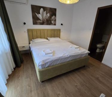 Tasnad House | Vila Alex
