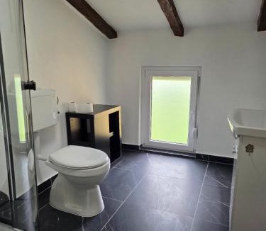 Ilirska Bistrica House | Vila Antik