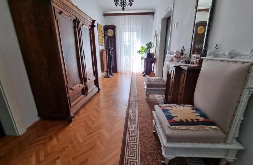 Ilirska Bistrica House | Vila Antik