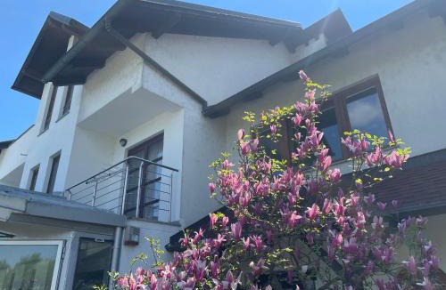 Karlovac Apartment | Vila Milka - Balkon - Besplatan parking - Samostalna prijava