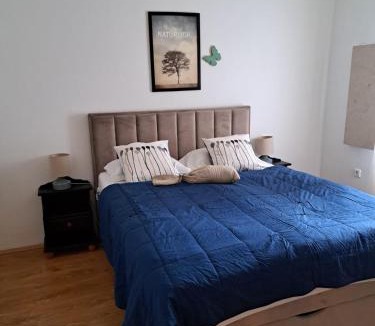 Benkovac House | Vila Pan